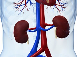 Treatment and Care for Kidney Cancer