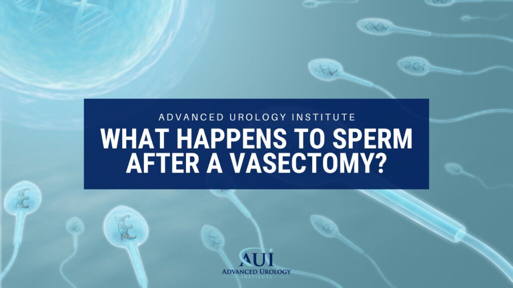 What Happens To Sperm After A Vasectomy Advanced Urology Institute 