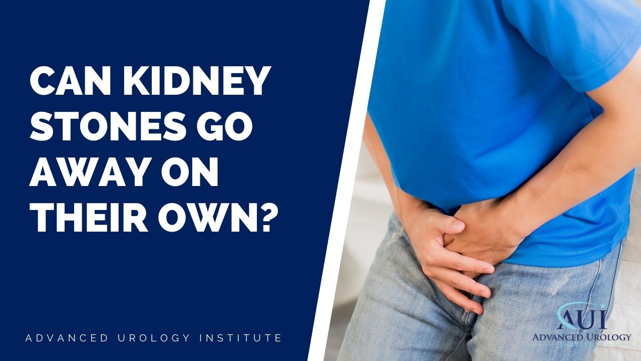 https://www.advancedurologyinstitute.com/wp-content/uploads/2022/11/Can-kidney-stones-go-away-on-their-own.jpg